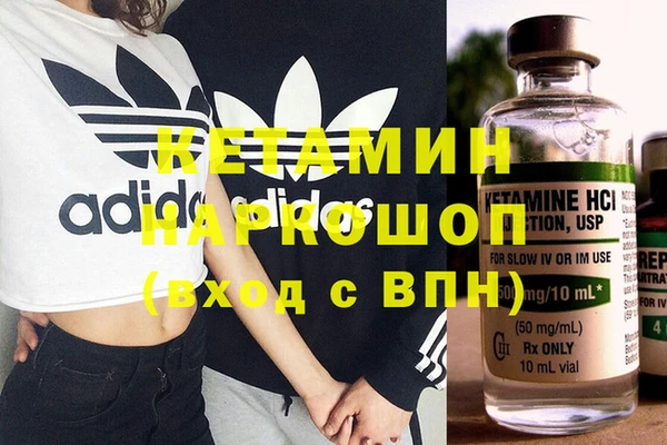индика Алексин