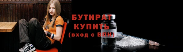 индика Алексин