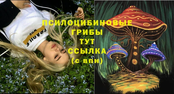 индика Алексин