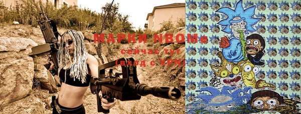 индика Алексин