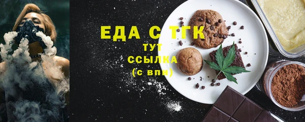 индика Алексин