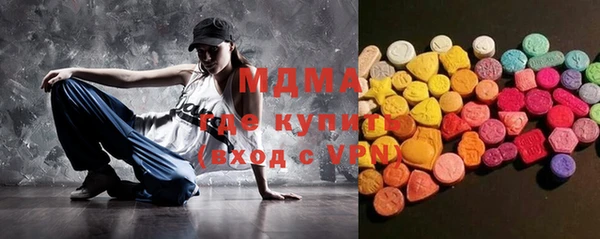 индика Алексин