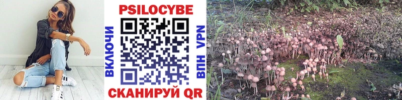 Галлюциногенные грибы MAGIC MUSHROOMS  Динская 